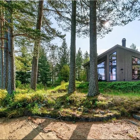 Modern By Sandvatn At The Foot Of Blefjell * Linoye